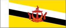 brunei aaa to e layout