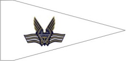 fy02 fairey flag type 2