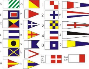 signals bca
