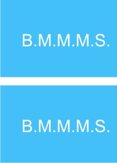 vbmmms
